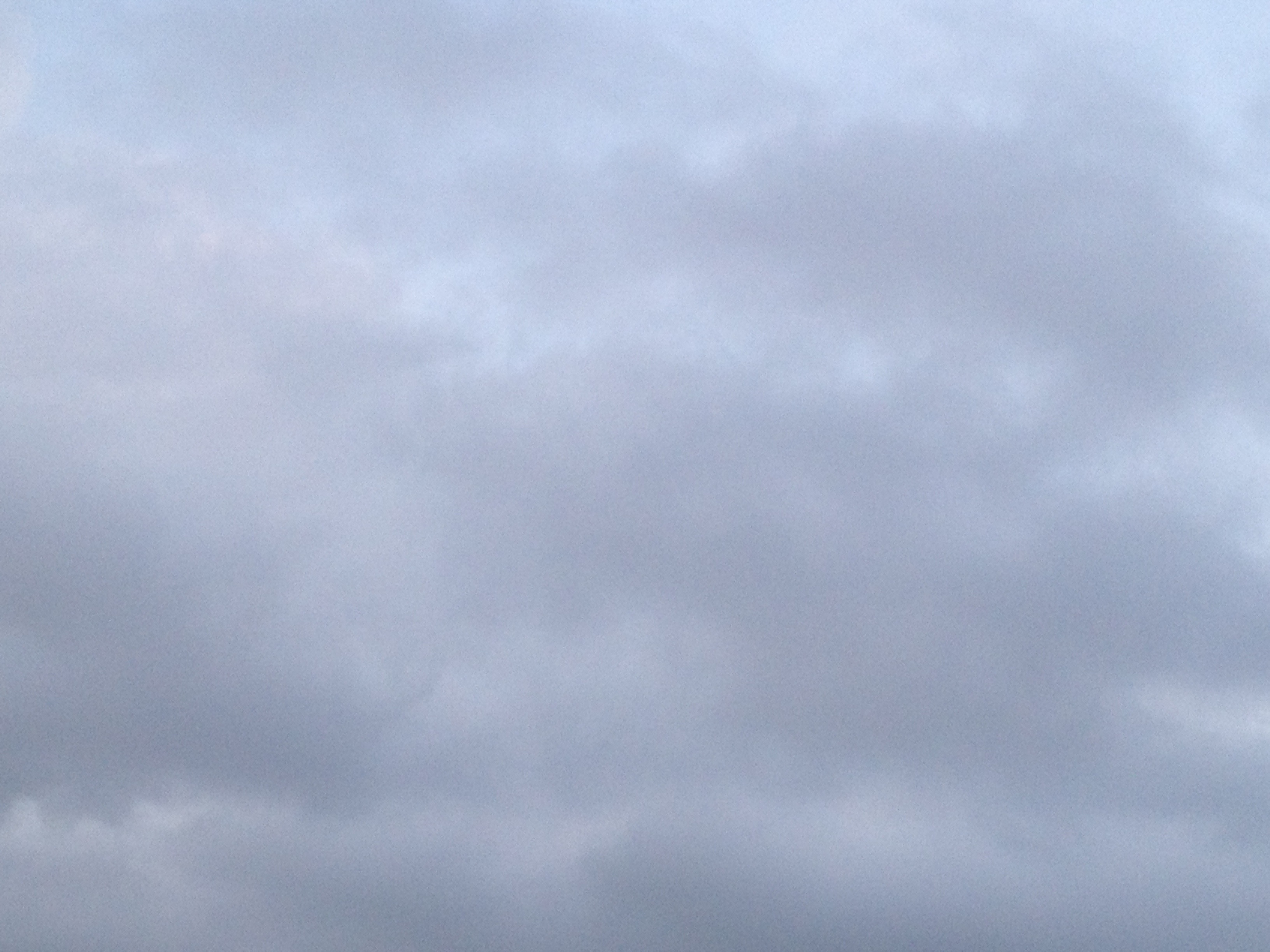 夕方に灰色の雲