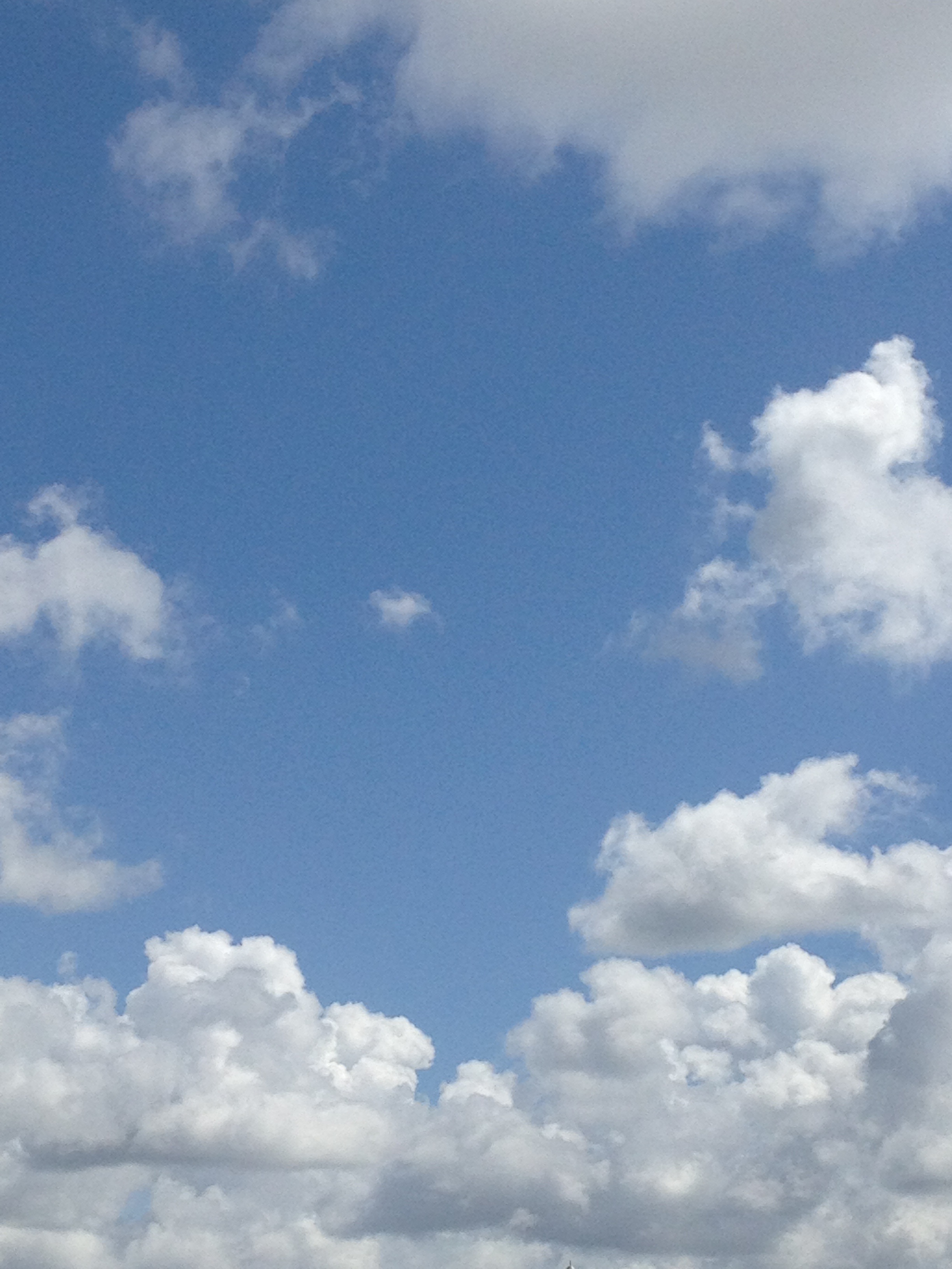 澄んだ青空と白い雲